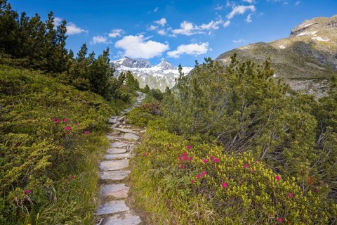Hiking trail