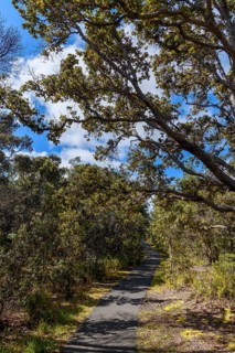 Devastation Trail