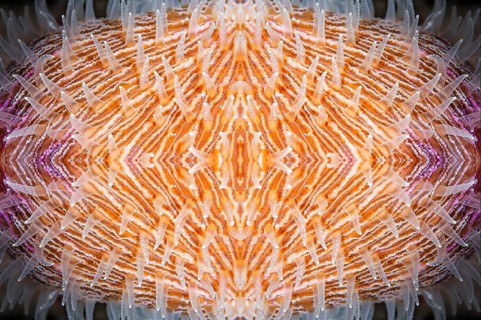 PHOTOMONTAGE
