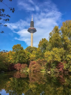 Europe Tower