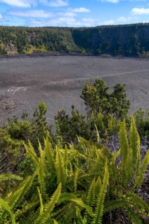 Kilauea crater with ferns in the foreground