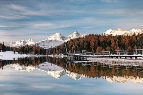 Autumnal larches with snow-covered mountain peaks are reflected in Lake Staz