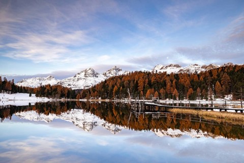 Autumnal larches with snow-covered mountain peaks are reflected in Lake Staz