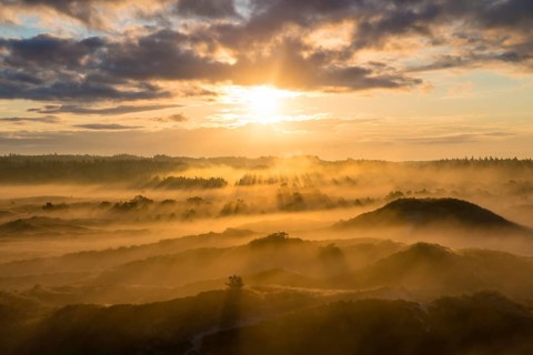 Sunrays penetrate the early morning fog over heath landscape
