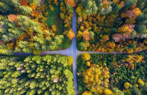 Crossroads in the autumnal forest near Reichertshausen