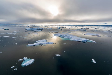 Ice field in the sea