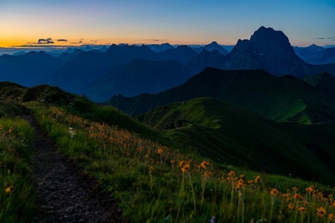 Small mountain trail with flower meadow at sunrise