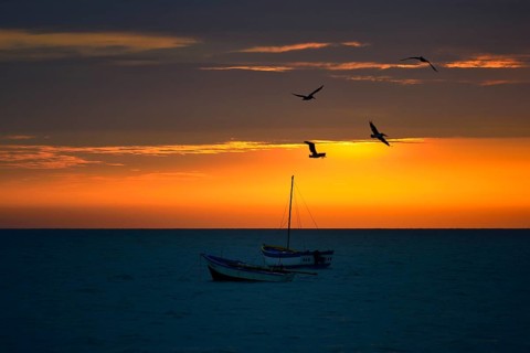 Fishing boats and pelicans at sunset with clouds over the Pacific Ocean