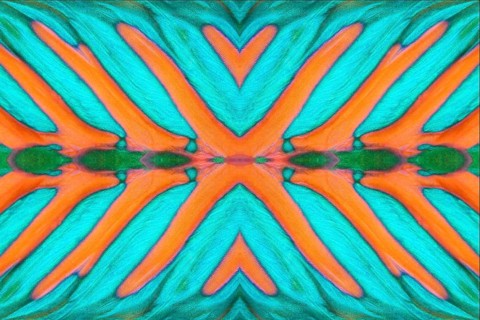 PHOTOMONTAGE