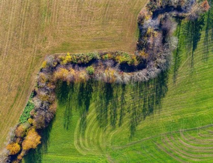 Autumnally discoloured deciduous trees with shadows along the Fuschler Ache