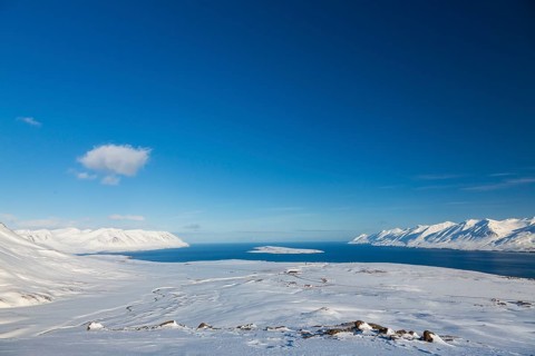 Akureyrifjord in winter with snowy mountains