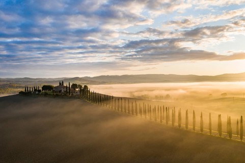 Country estate Poggio Covili with cypress avenue