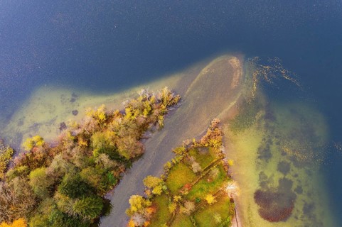 River delta of the Wangauer Ache into the Mondsee with autumnally discoloured mixed forest