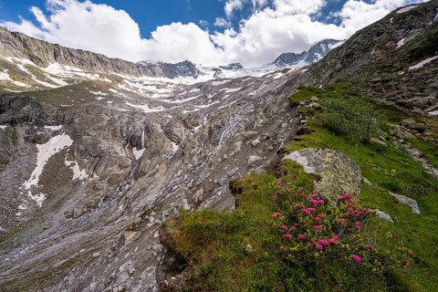 Moraine landscape of the Waxeggkees glacier