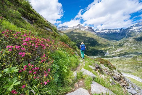 Hiker on the descent from the Schoenbichler Horn to the Berliner Huette