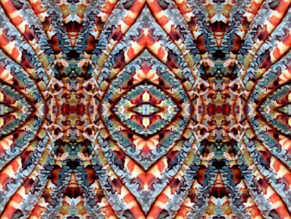 PHOTOMONTAGE