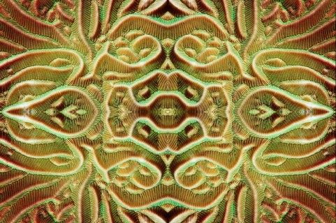 PHOTOMONTAGE