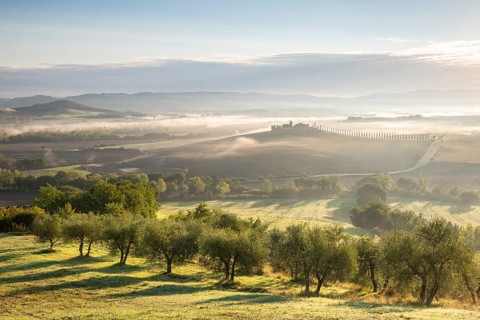 Country estate Poggio Covili with cypress avenue