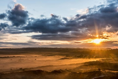 Sunrise over dune landscape with ground fog