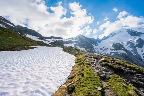 Snow field