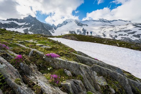 Hikers in front of snow-covered mountains