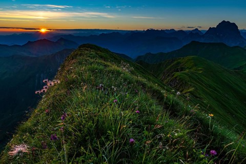 Small mountain path with flower meadow and Allgaeu Alps behind it at sunrise