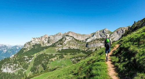 Hiker on a hiking trail