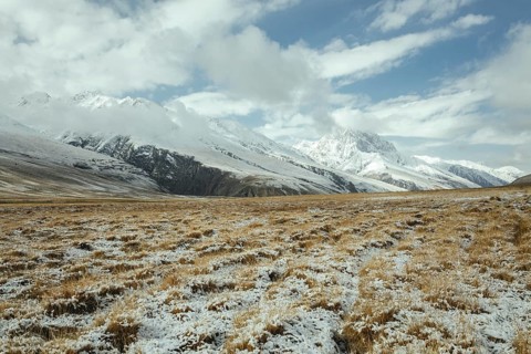 Snowy landscape
