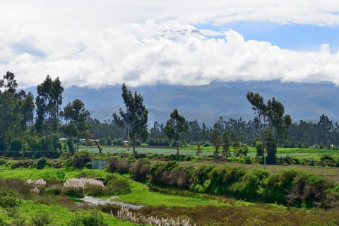 Fertile plain