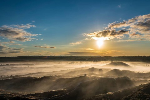 Wafts of mist in backlight over heath landscape