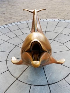 Bronze sculpture of Dolphin Fungie