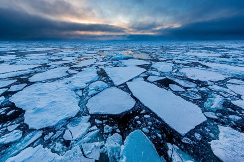 Ice field in the sea