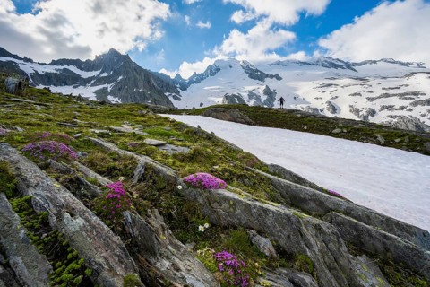 Hikers in front of snow-covered mountains