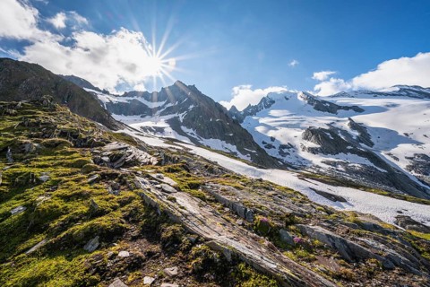 Snow-covered mountains
