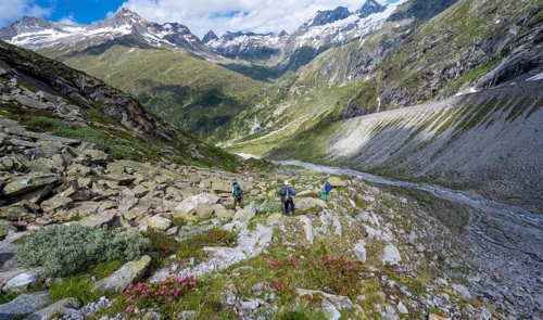 Hiker on marked hiking trail