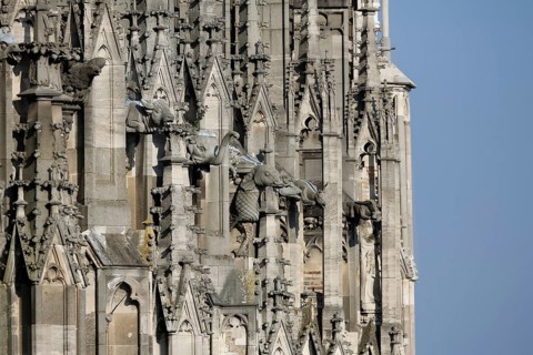 Ulm Cathedral