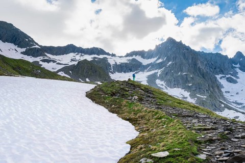 Snow field