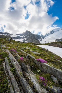 Hikers in front of snow-covered mountains