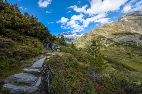 Hiking trail