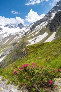 Hiker on the descent from the Moerchnerscharte to the Greizer Hut