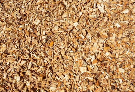 Wood chips