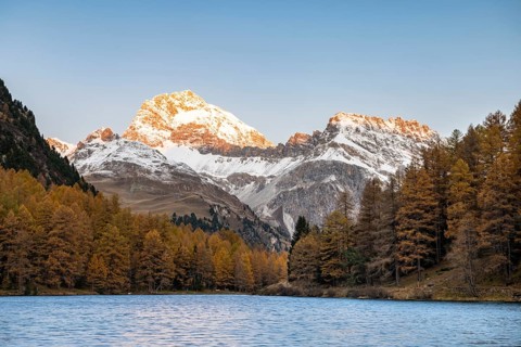 Autumnal larch forest at Lake Lake Palpuogna