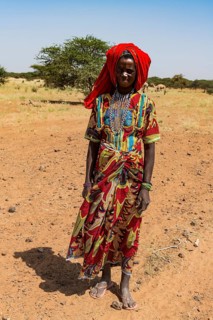 Colourful dressed woman travels with a caravan of Peul nomads and their animals in the Sahel of Niger