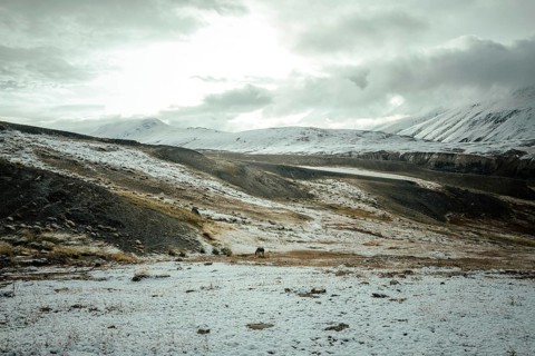 A horse grazing on a plateau in the Walkhan Corridor