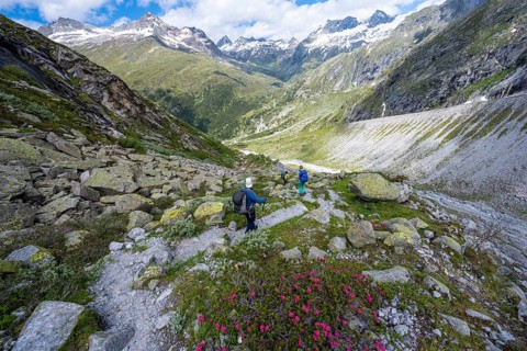 Hiker on marked hiking trail