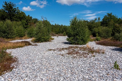 Flintstone fields