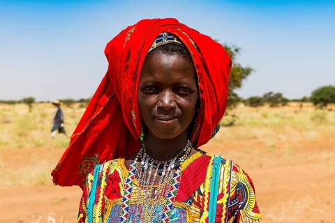 Colourful dressed woman travels with a caravan of Peul nomads and their animals in the Sahel of Niger