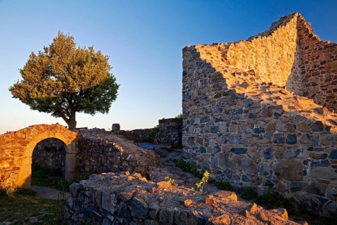 Ruin Loewenburg at sunrise