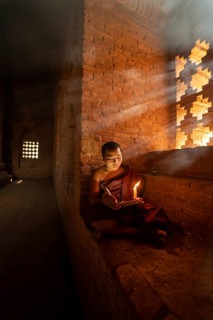 Buddhist young monk in red robe reading sitting in front of rays of light in a temple