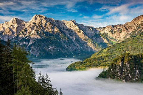 Almsee im Nebel